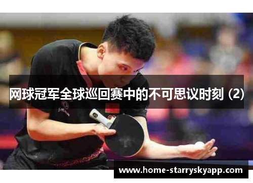 网球冠军全球巡回赛中的不可思议时刻 (2)
